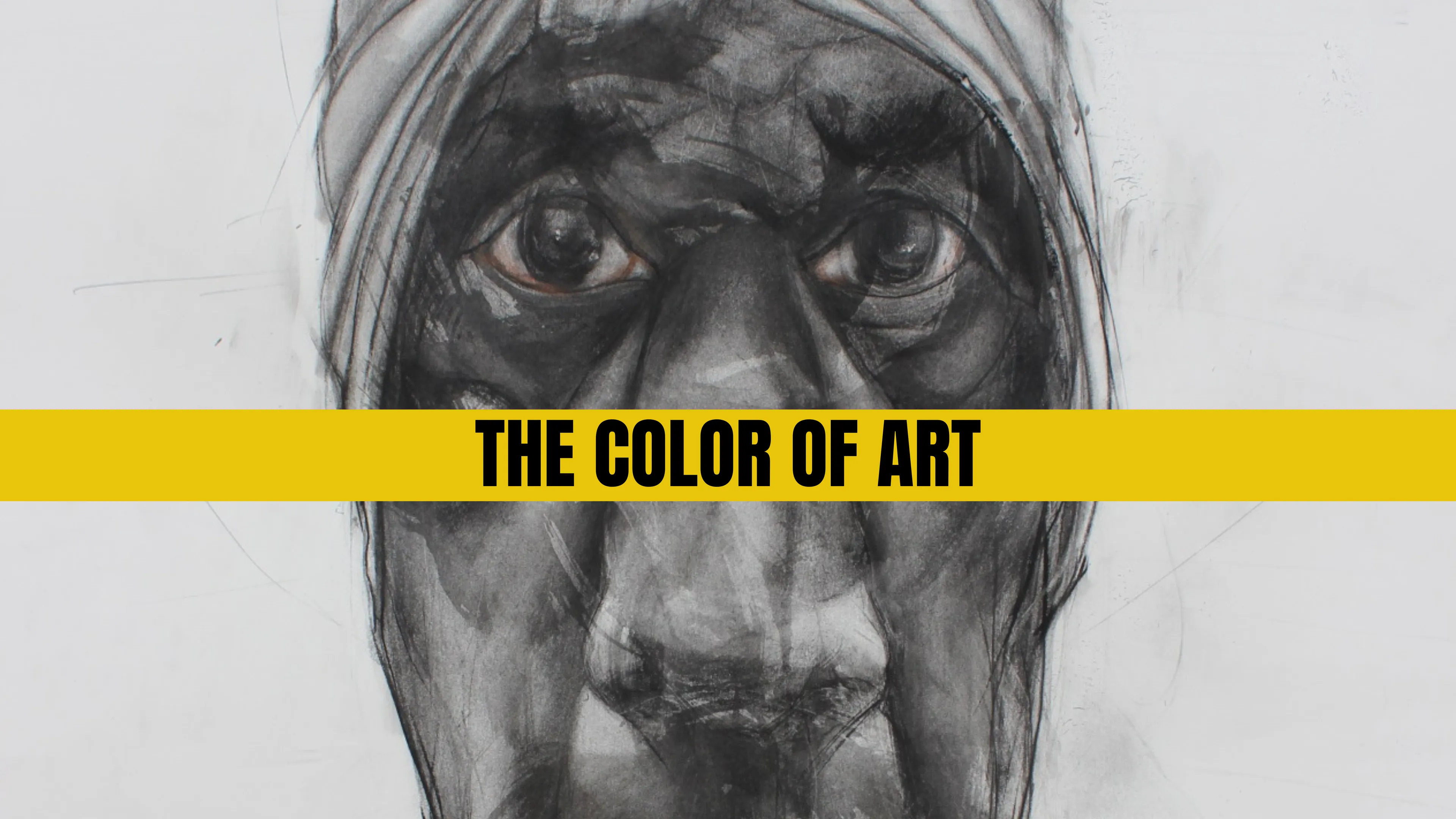 The Color of Art poster